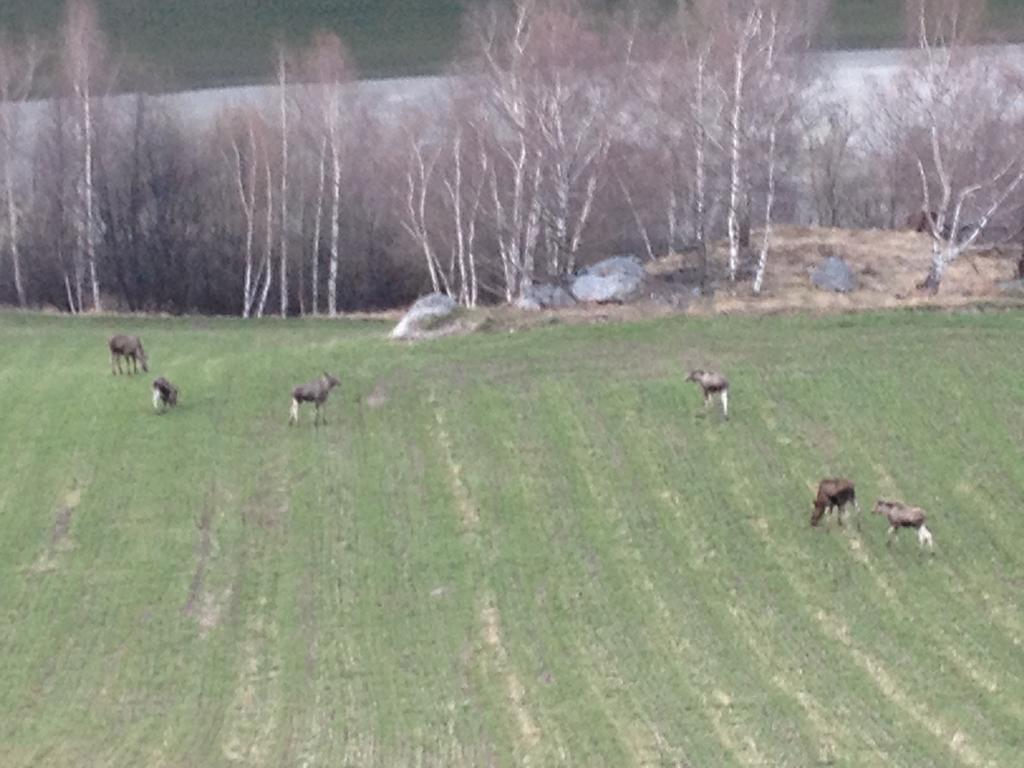 Kvaale Gard Villa Lom Exteriör bild